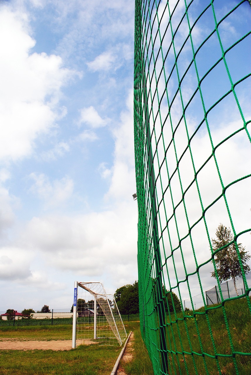 其他球员在 其他球员在